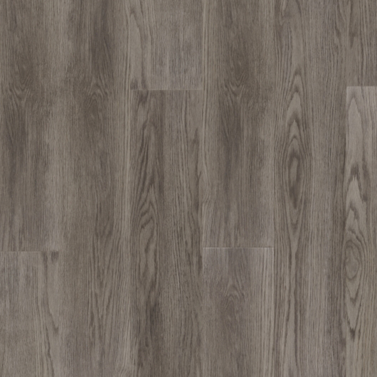 Evolution Trend - Rovere Grigio