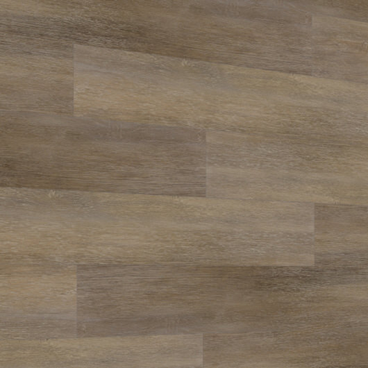 Evolution Vertical - Rovere Canyon