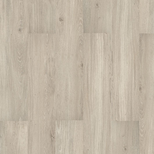 Evolution Easy - Rovere Civetta