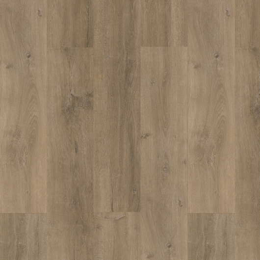 Evolution Easy - Rovere Seceda