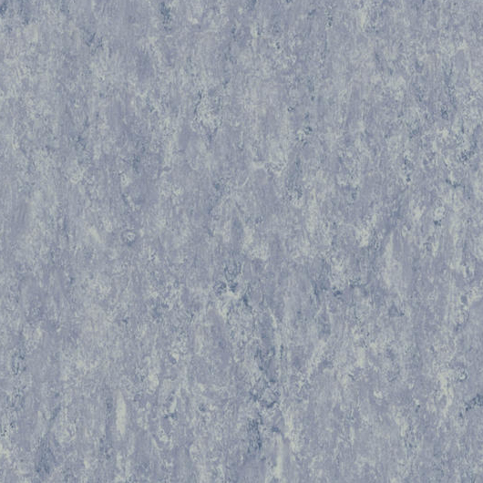 Linoleum Spring - 3666 Cielo