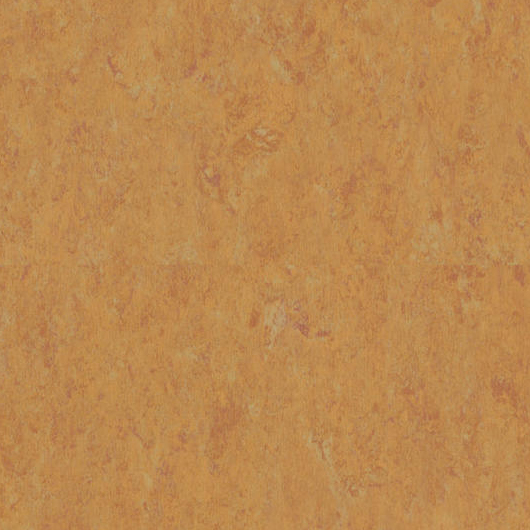 Linoleum Spring - 6636 Ambra